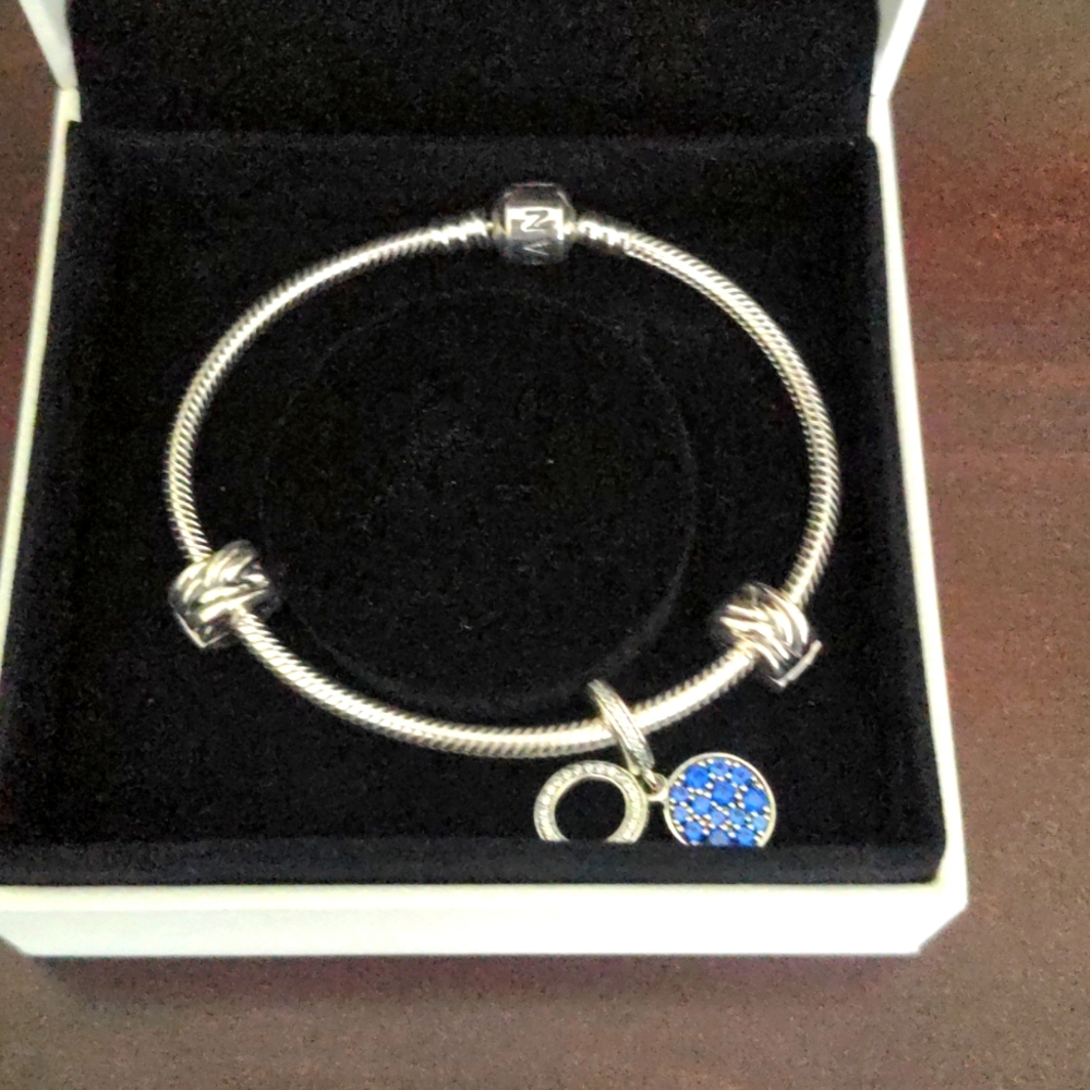 Pandora bracelet with charm